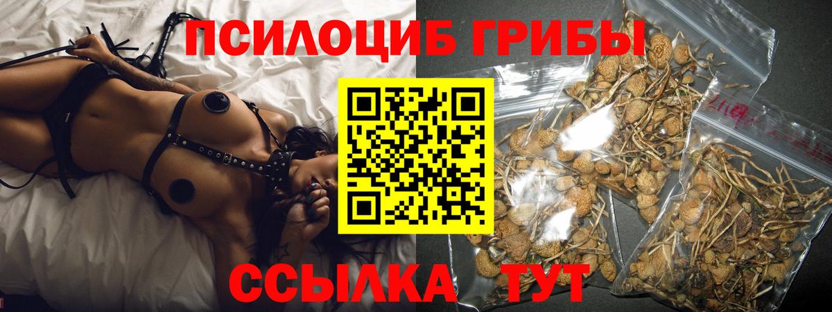 Галлюциногенные грибы ЛСД  Вход с VPN  Рубцовск  Галлюциногенные грибы Magic Shrooms 